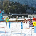 Alpine Zell am See