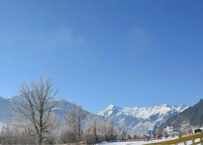 Alpine Appartement Zell am See